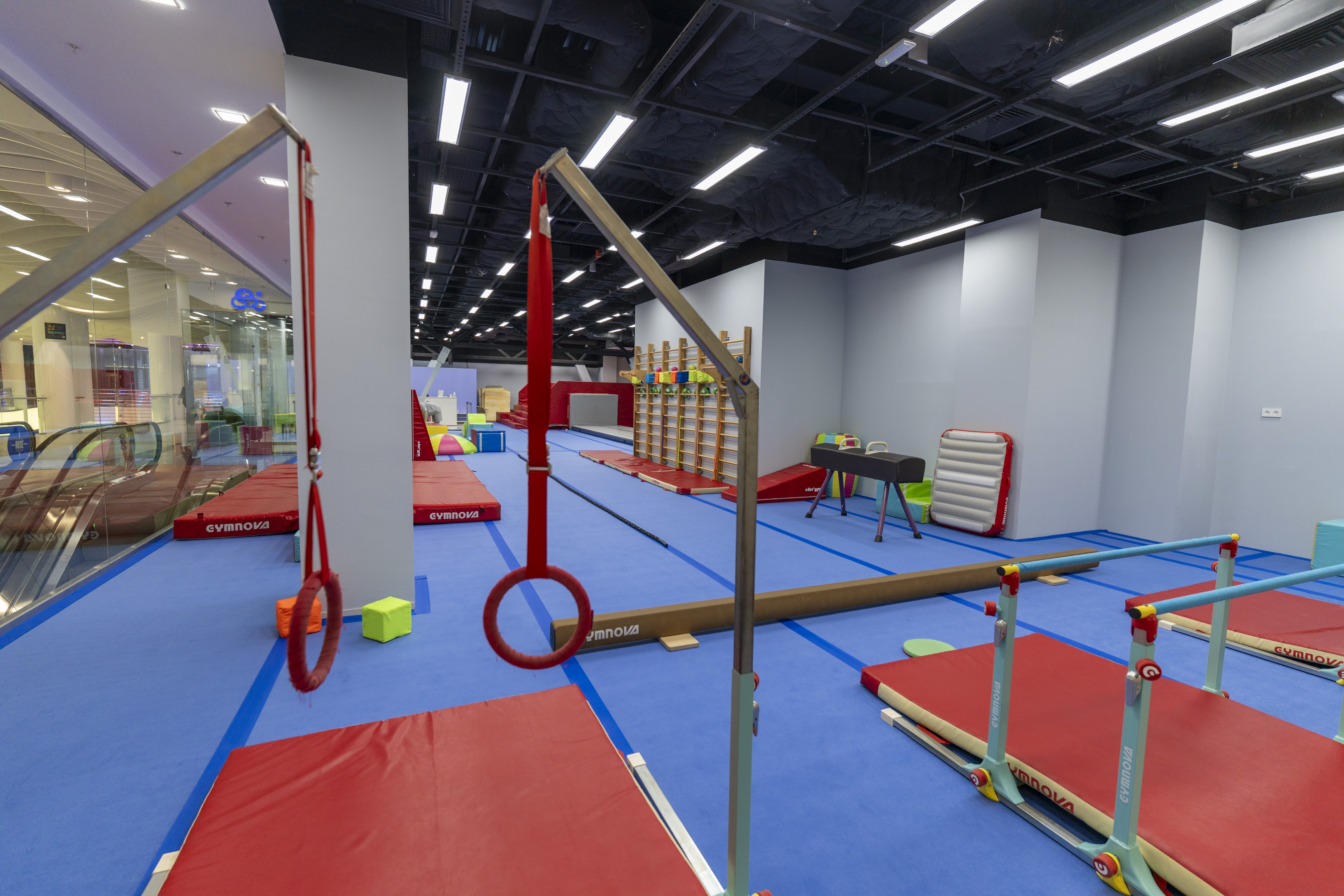 International Gym