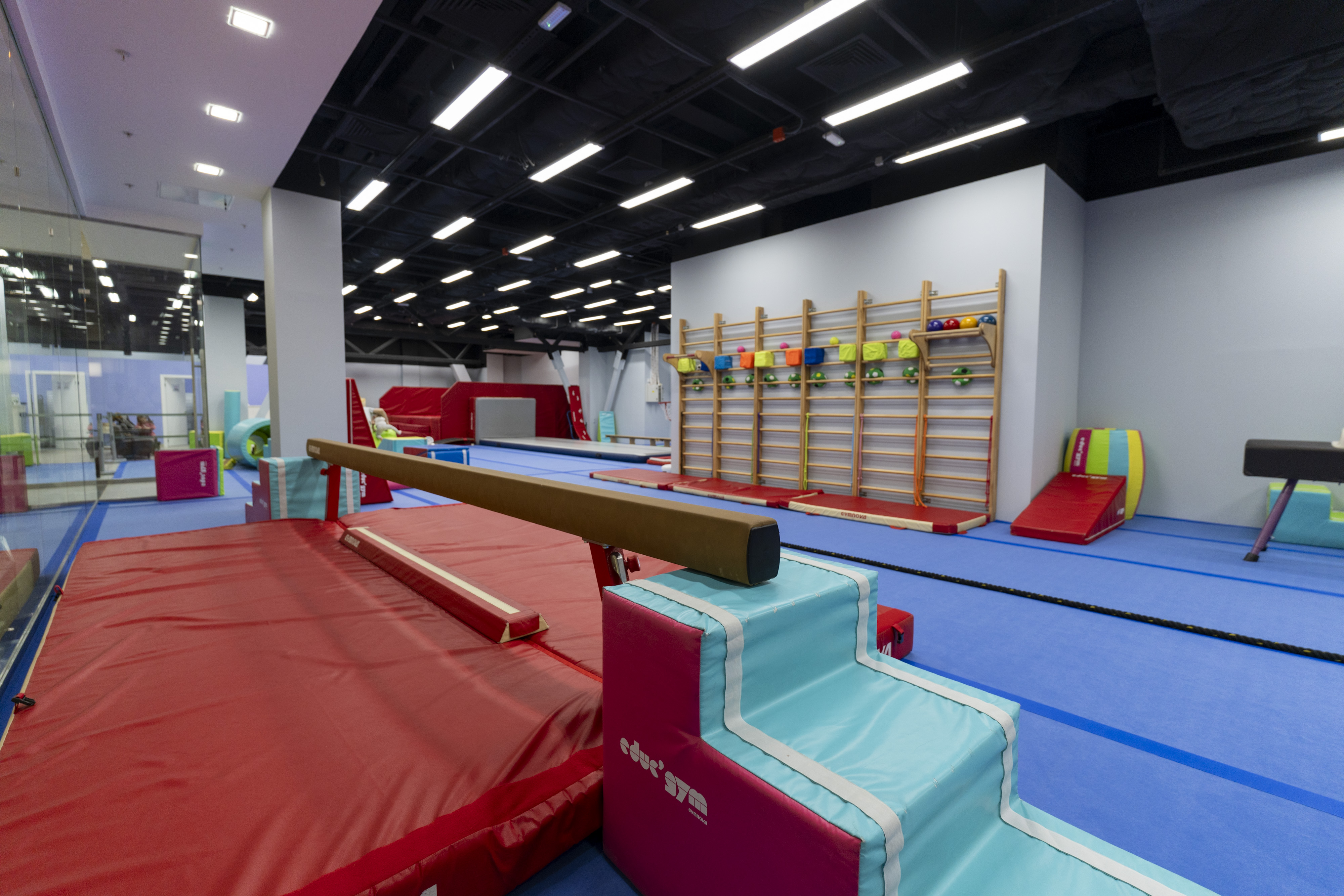 International Gym