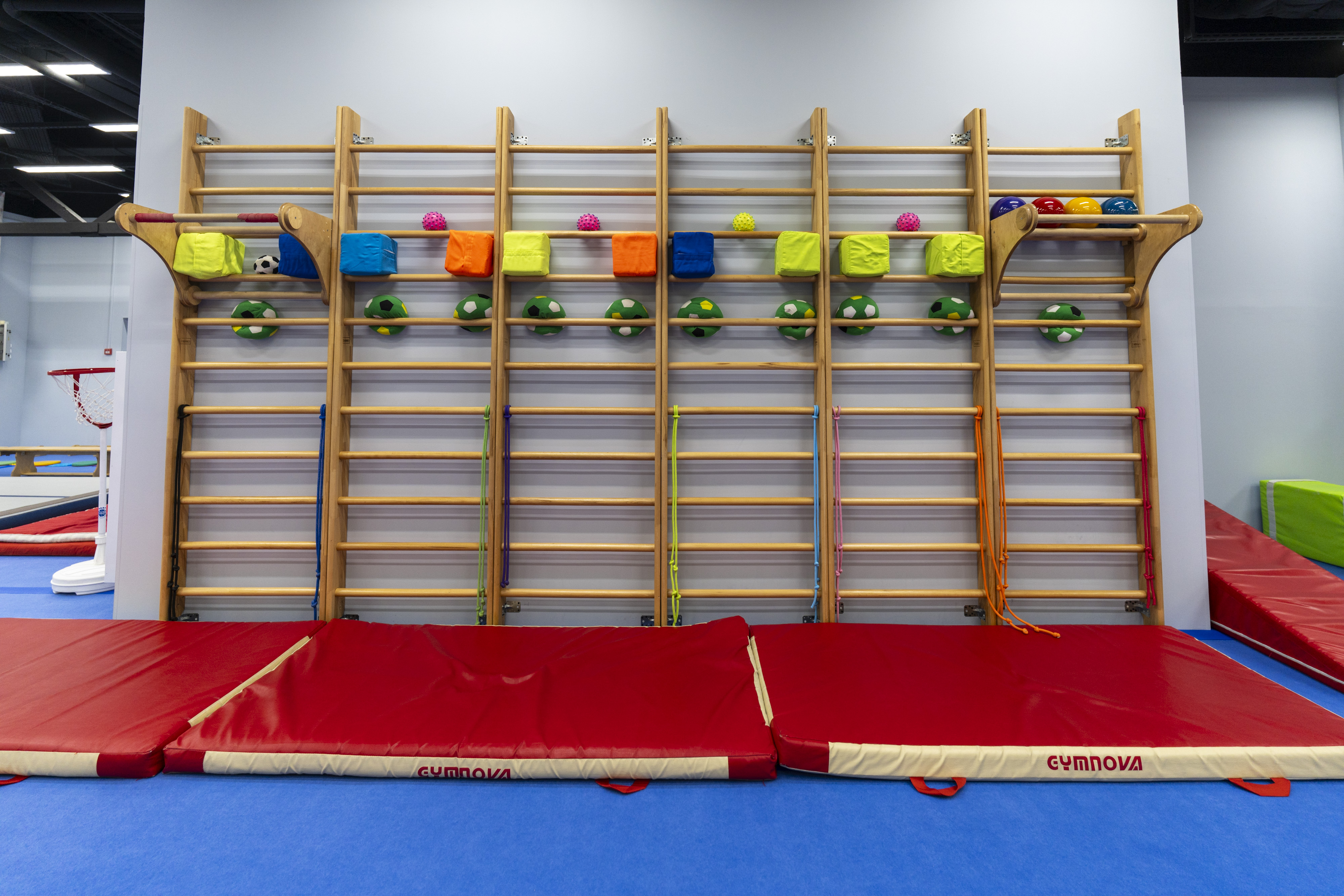 International Gym