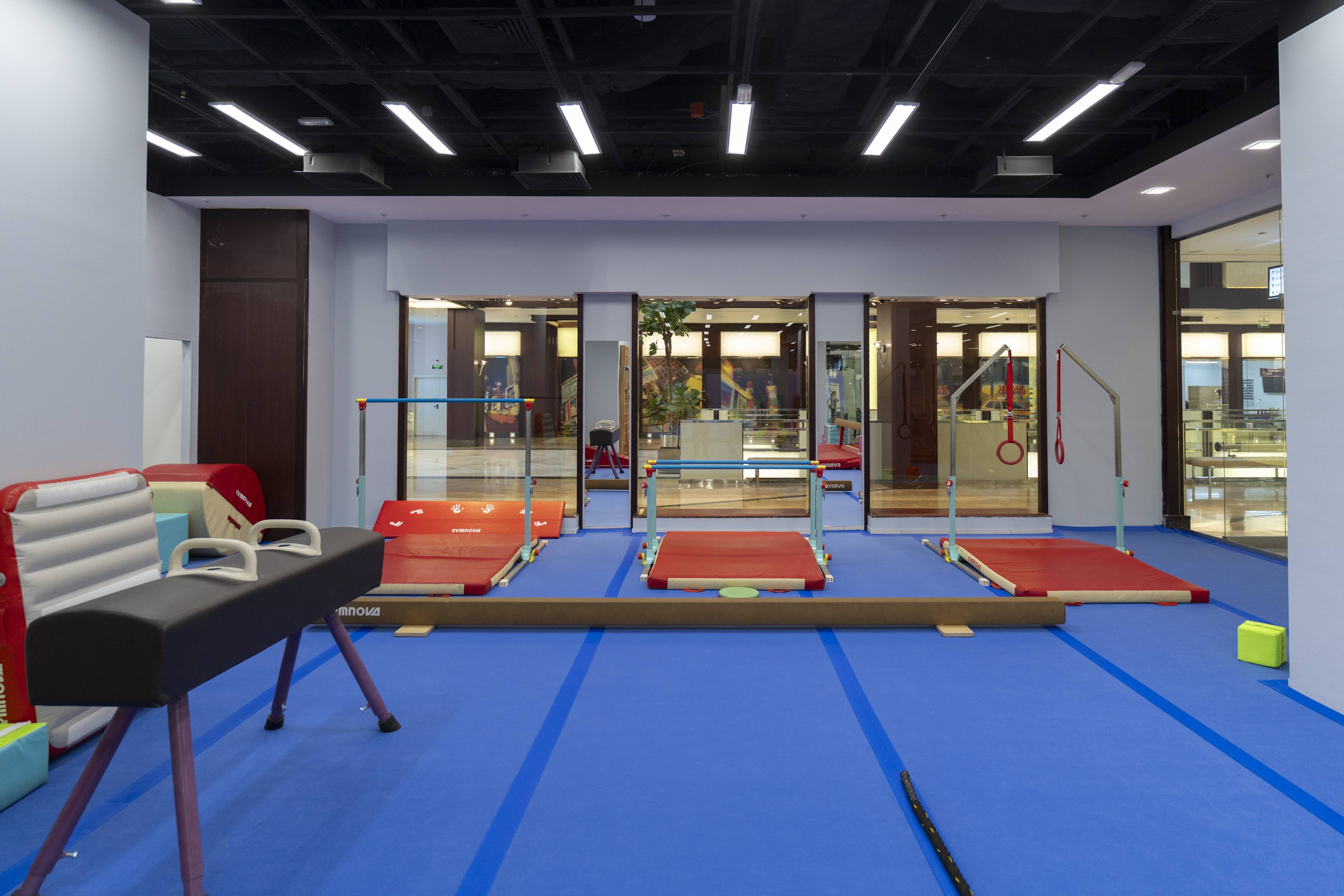 International Gym