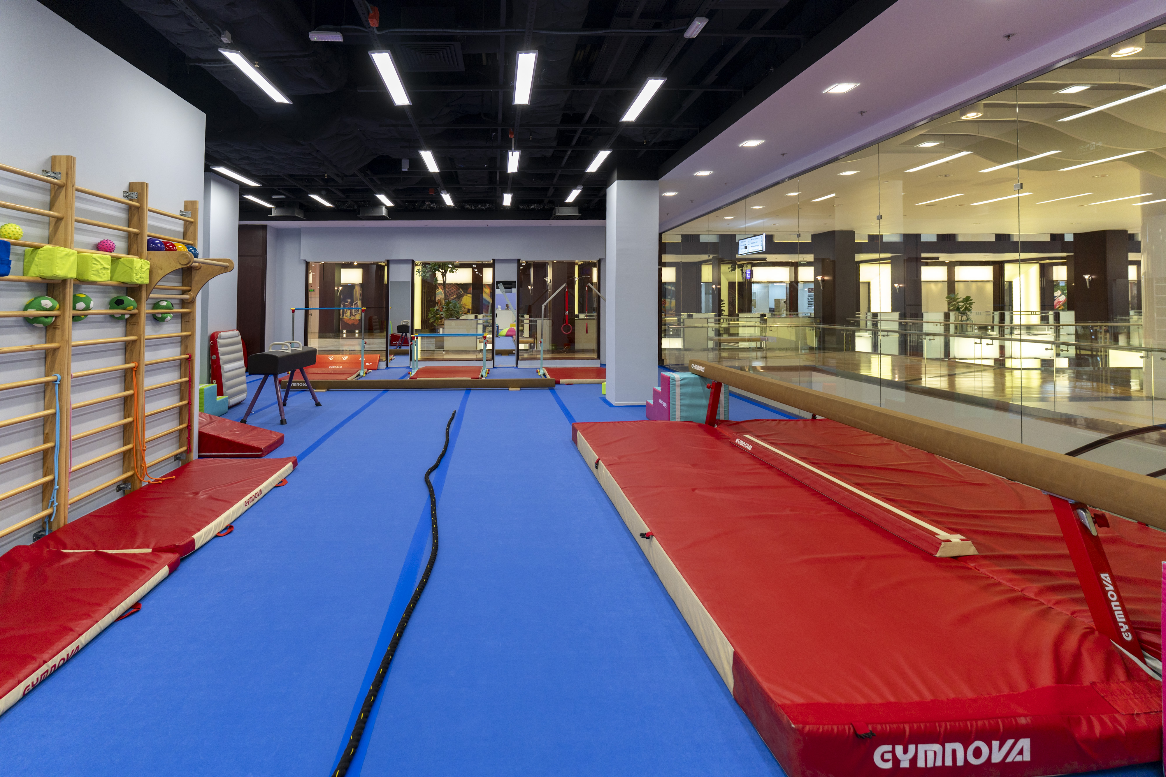 International Gym